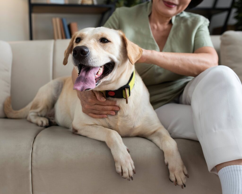 Best Veterinary Clinic In Columbus, IN 47201 Athens Animal Clinic